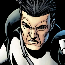The Punisher
